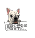 (NEW) BULLDOG and the Balloon（個別スタンプ：21）