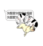 (NEW) BULLDOG and the Balloon（個別スタンプ：24）