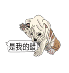 (NEW) BULLDOG and the Balloon（個別スタンプ：27）