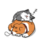 Stray Meow and Puppy（個別スタンプ：40）