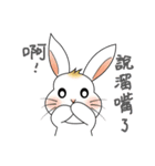 Carol's rabbits 3（個別スタンプ：25）