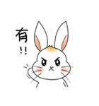 Carol's rabbits 3（個別スタンプ：27）