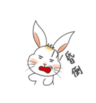 Carol's rabbits 3（個別スタンプ：28）