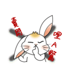 Carol's rabbits 3（個別スタンプ：29）