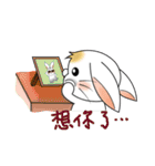 Carol's rabbits 3（個別スタンプ：36）