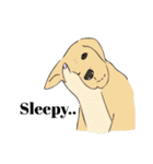動物っていいな（個別スタンプ：27）