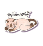 Lucky Lanna cat（個別スタンプ：8）