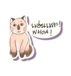 Lucky Lanna cat（個別スタンプ：13）