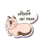Lucky Lanna cat（個別スタンプ：15）