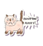 Lucky Lanna cat（個別スタンプ：37）