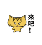 Datou Meow（個別スタンプ：18）
