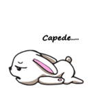 Undulbit the cute rabbit（個別スタンプ：22）