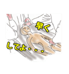 UMA（ユーマ）のつぶやき（個別スタンプ：10）