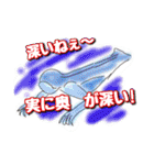 UMA（ユーマ）のつぶやき（個別スタンプ：16）