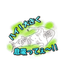 UMA（ユーマ）のつぶやき（個別スタンプ：17）