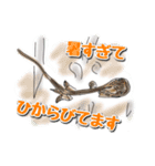 UMA（ユーマ）のつぶやき（個別スタンプ：34）