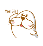 Fatty seal life diary（個別スタンプ：13）