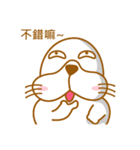 Fatty seal life diary（個別スタンプ：17）