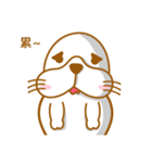 Fatty seal life diary（個別スタンプ：25）