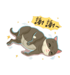 greyish cat（個別スタンプ：1）