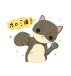 greyish cat（個別スタンプ：2）