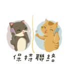 greyish cat（個別スタンプ：5）