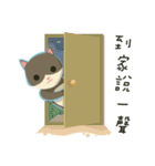 greyish cat（個別スタンプ：6）