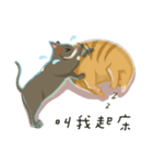 greyish cat（個別スタンプ：10）