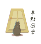 greyish cat（個別スタンプ：11）