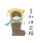 greyish cat（個別スタンプ：12）