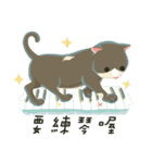 greyish cat（個別スタンプ：14）