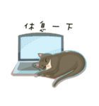 greyish cat（個別スタンプ：15）