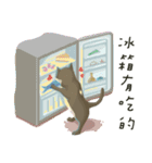 greyish cat（個別スタンプ：16）