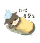 greyish cat（個別スタンプ：21）