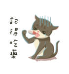 greyish cat（個別スタンプ：22）