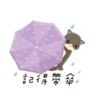 greyish cat（個別スタンプ：23）