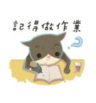 greyish cat（個別スタンプ：24）
