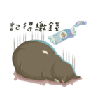 greyish cat（個別スタンプ：25）