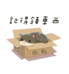 greyish cat（個別スタンプ：26）