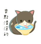 greyish cat（個別スタンプ：29）
