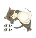 greyish cat（個別スタンプ：30）