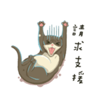 greyish cat（個別スタンプ：32）