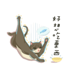 greyish cat（個別スタンプ：33）