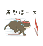 greyish cat（個別スタンプ：36）