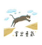 greyish cat（個別スタンプ：38）