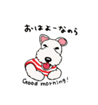 ころころワイヤーダックスちょっくん3（個別スタンプ：1）