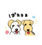 ころころワイヤーダックスちょっくん3（個別スタンプ：13）