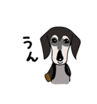 ころころワイヤーダックスちょっくん3（個別スタンプ：21）