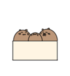 ぽっちゃりハムスター（個別スタンプ：32）