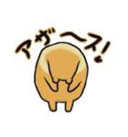 はいいろくま（個別スタンプ：1）